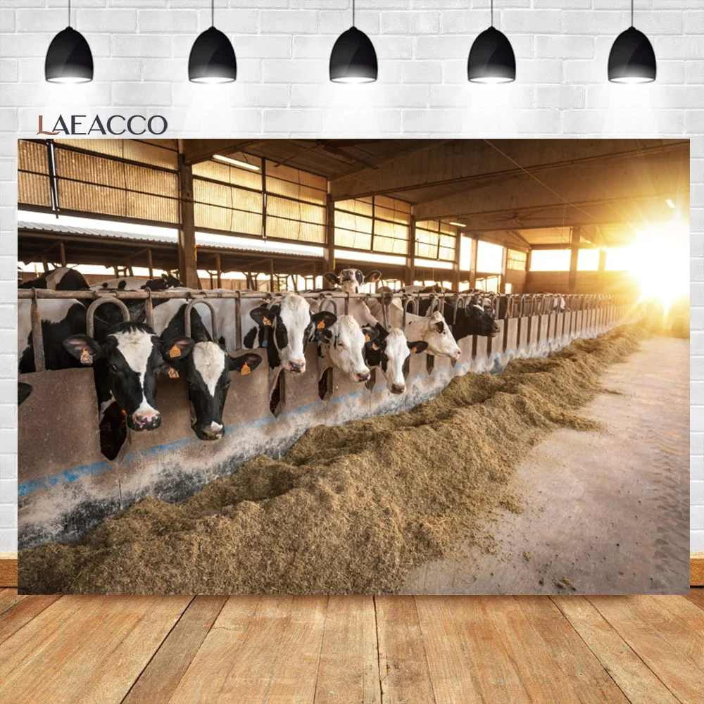 Laeacco Western Cattle Farm Interior Photo Backdrop Country Old Barn Scene Straw Cows Kid Adults Portrait Photography Background
Laeacco Western Cattle Farm Interior Photo Backdrop Country Old Barn Scene Straw Cows Kid Adults Portrait Photography Background