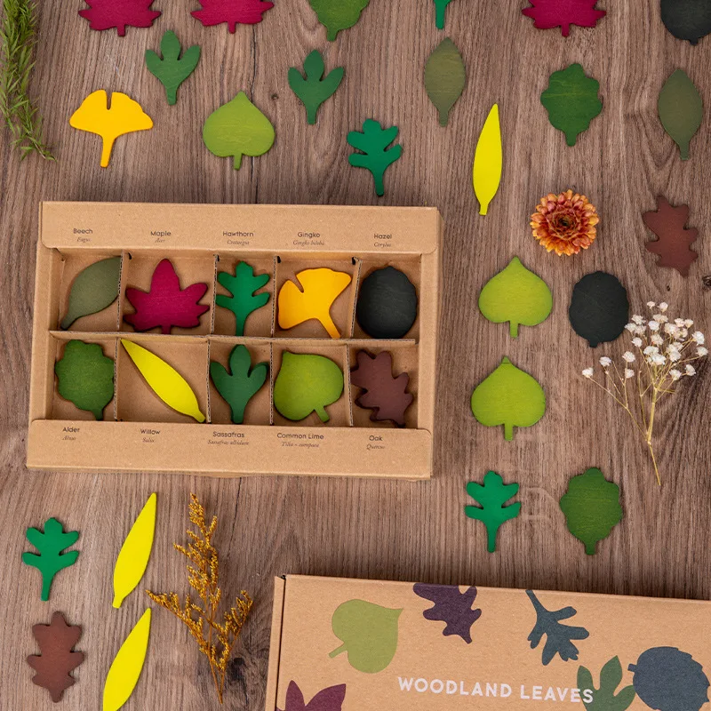 Creative Colorful Wood Autumn Leaves Ginkgo Maple Leaf Puzzle Plant 3d Panel For Baby Training Cognitive Wooden Children's Toys
Creative Colorful Wood Autumn Leaves Ginkgo Maple Leaf Puzzle Plant 3d Panel For Baby Training Cognitive Wooden Children's Toys
