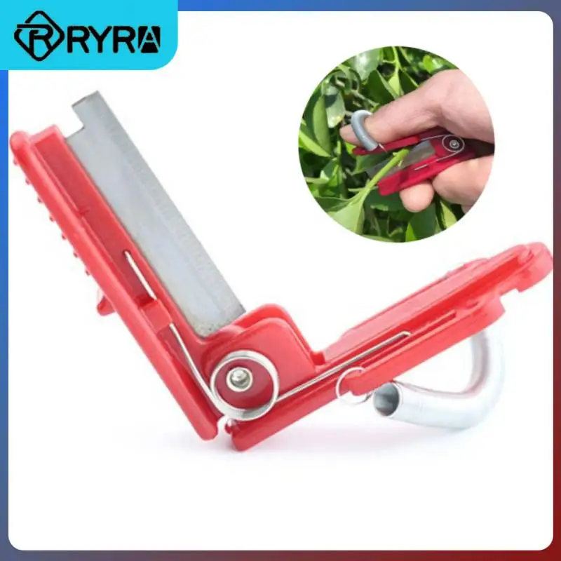 2/4/5PCS Camping Null Knife Kitchen Accessories Accessories Folding Knife Kitchen Tools And Gadgets Manuals Food Processors
2/4/5PCS Camping Null Knife Kitchen Accessories Accessories Folding Knife Kitchen Tools And Gadgets Manuals Food Processors
