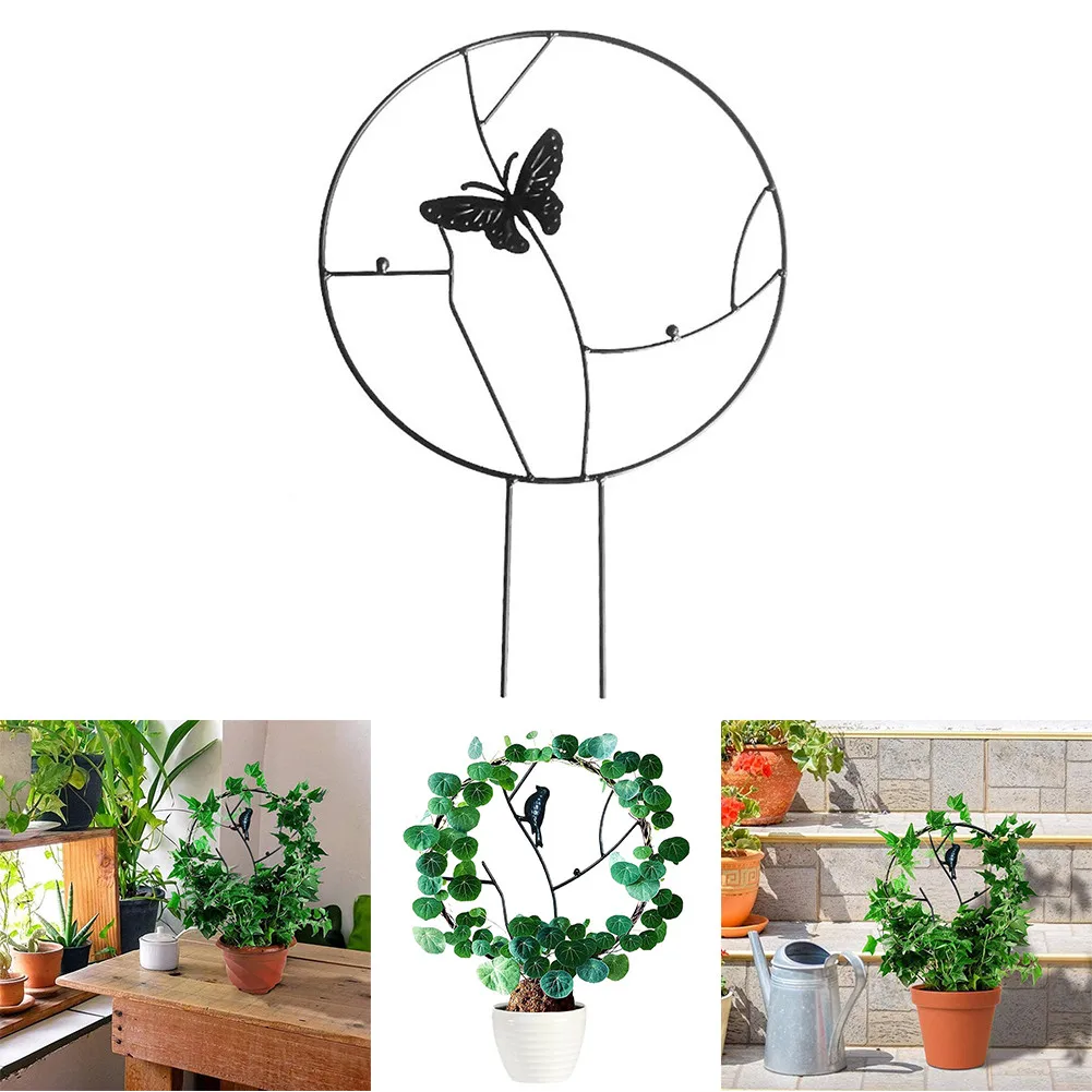 1pc 30cm Metal Climbing Plants Support Flower Vines Mandevilla Climbing Pot Jasmine Pea Support Holder Stand Frame Garden Tools
1pc 30cm Metal Climbing Plants Support Flower Vines Mandevilla Climbing Pot Jasmine Pea Support Holder Stand Frame Garden Tools