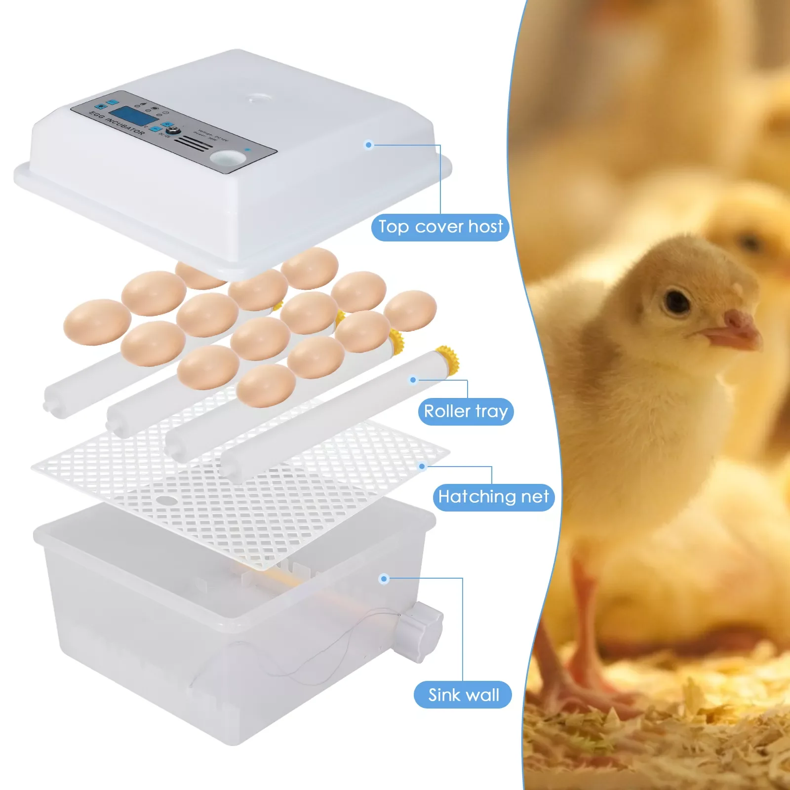 Eggs Egg Incubator Digita Mini Automatie Incubatores with Turner for Hatching Turkey Goose Quail Chicken Eggs Hatcher Machine 
Eggs Egg Incubator Digita Mini Automatie Incubatores with Turner for Hatching Turkey Goose Quail Chicken Eggs Hatcher Machine