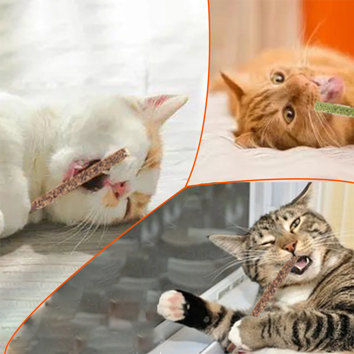 1pc Cat Chew Toys 100% Natural Silvervine Catnip Toys Sticks Kittens Teeth Cleaning Safe Cat Stick Treat for Cats of All Ages
1pc Cat Chew Toys 100% Natural Silvervine Catnip Toys Sticks Kittens Teeth Cleaning Safe Cat Stick Treat for Cats of All Ages