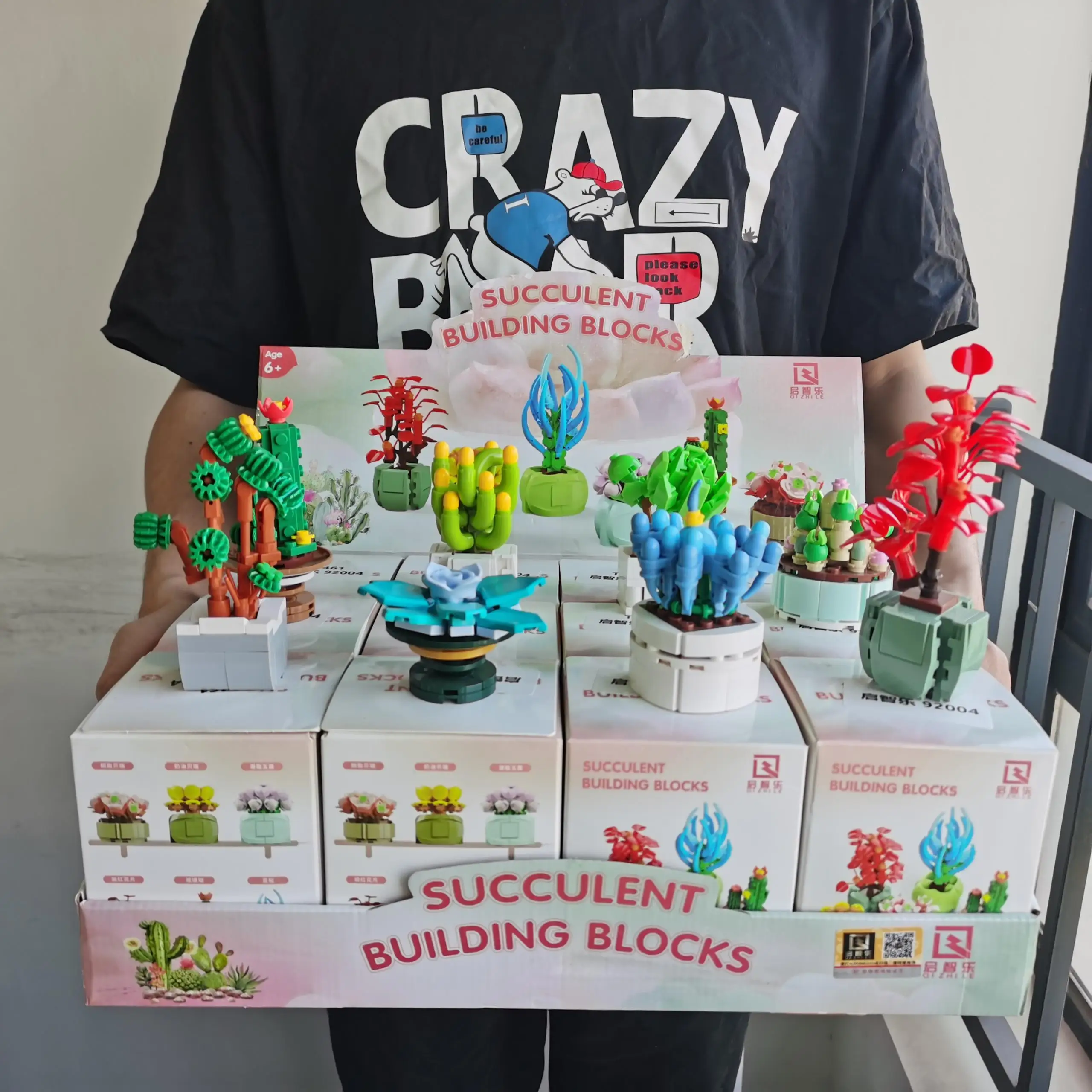 12PCS Mystery Blind box toys Building Block flower Succulents plant DIY Brick Valentines Day Gifts Birthday Toy for boys girl
12PCS Mystery Blind box toys Building Block flower Succulents plant DIY Brick Valentines Day Gifts Birthday Toy for boys girl