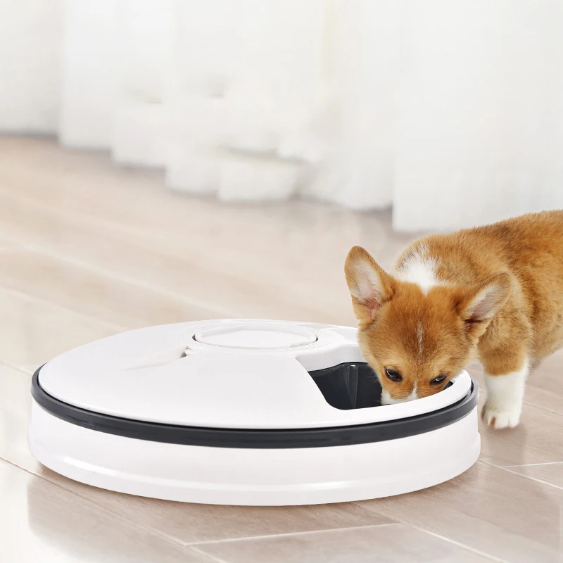 Pet Bowl Supplies Six-hole Intelligent Timer Feeder Timed Rationing Food Set Pet Automatic Feeder Cat Feeding Device Cat Bowl
Pet Bowl Supplies Six-hole Intelligent Timer Feeder Timed Rationing Food Set Pet Automatic Feeder Cat Feeding Device Cat Bowl