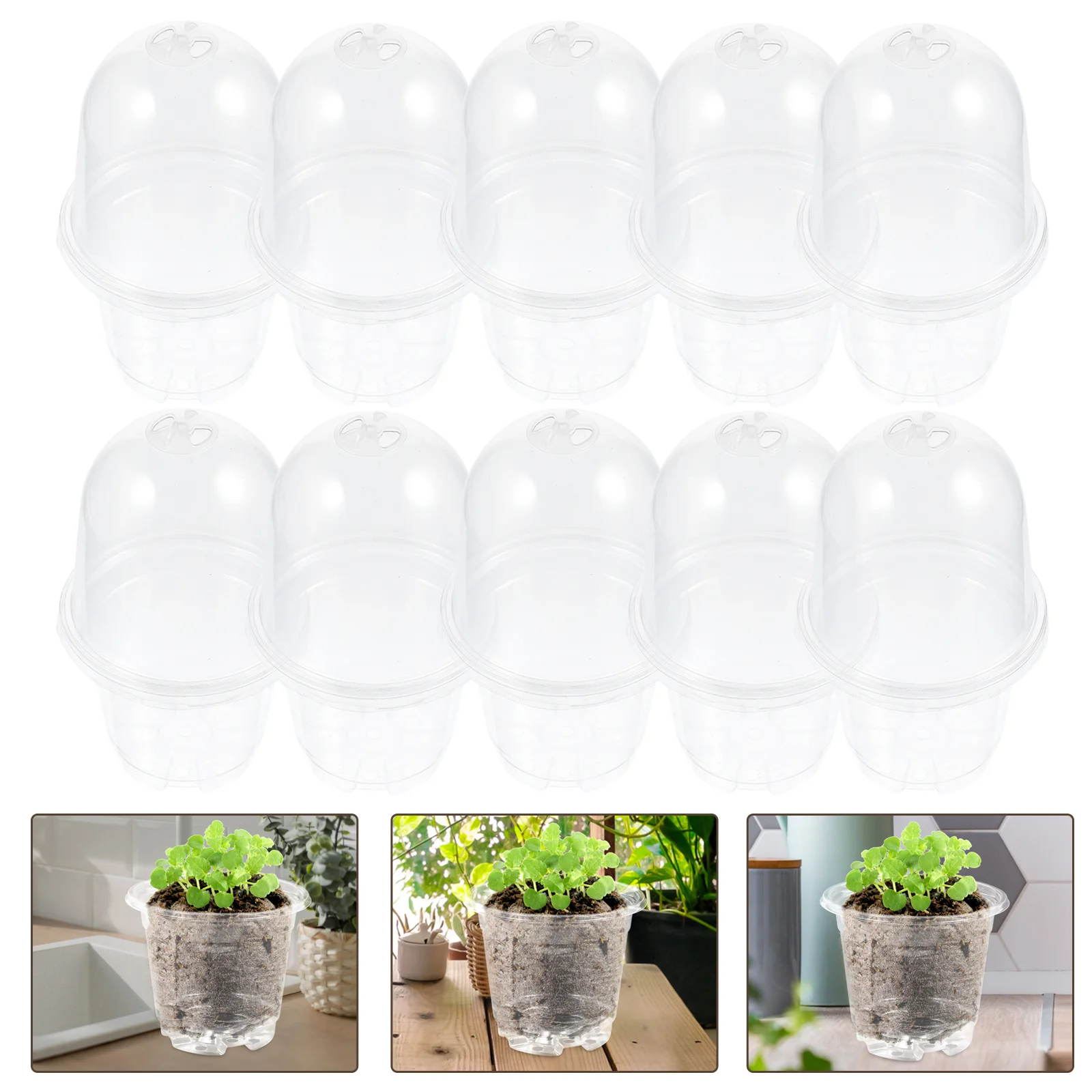15 Pcs Transparent Pot House Plants Protector Bell Nursery Starting Container Pp Germination Trays
15 Pcs Transparent Pot House Plants Protector Bell Nursery Starting Container Pp Germination Trays
