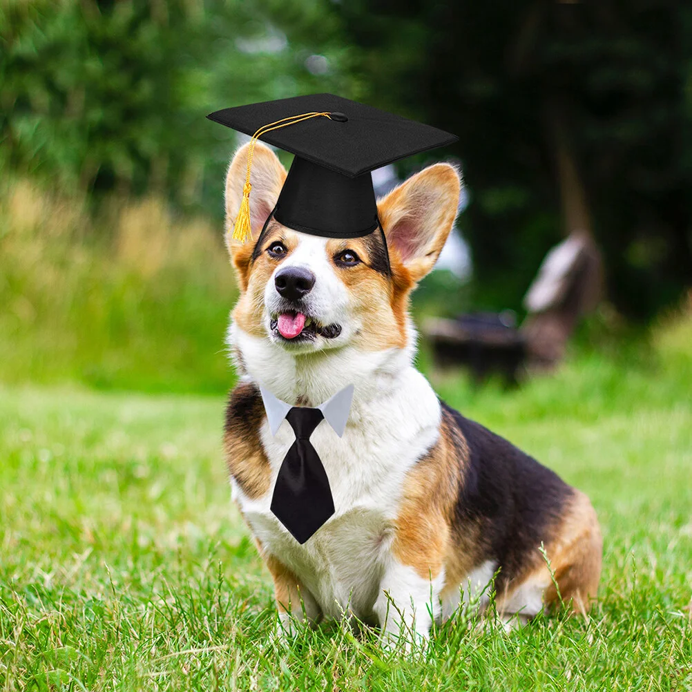 2pcs Graduation Cap Collar Set Small Funny Grad Costume Hat Suit Party Supplies Photo Prop With Tassel For Holiday Festival ( 
2pcs Graduation Cap Collar Set Small Funny Grad Costume Hat Suit Party Supplies Photo Prop With Tassel For Holiday Festival (