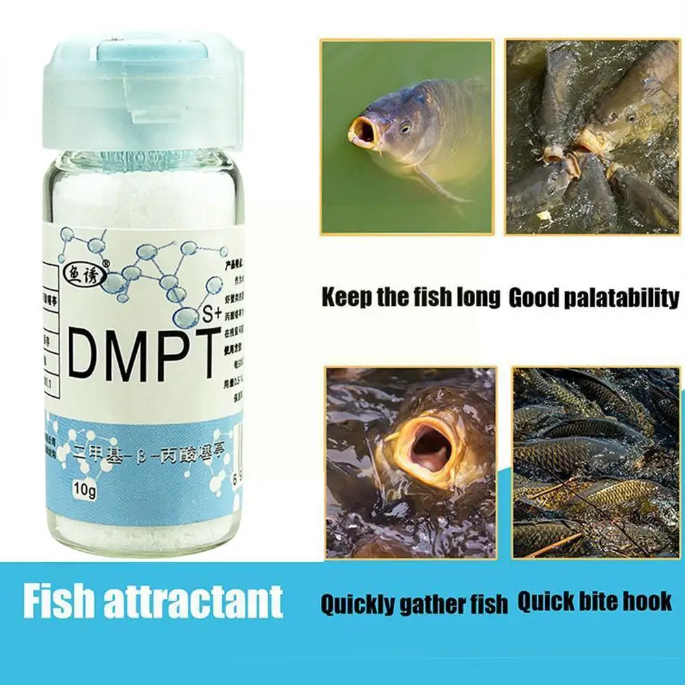 Fishing Attractants Fish Lure Additive Powder Bait Food Attractant For Various Lures Baits Practical Anglers Accessories K7R7
Fishing Attractants Fish Lure Additive Powder Bait Food Attractant For Various Lures Baits Practical Anglers Accessories K7R7