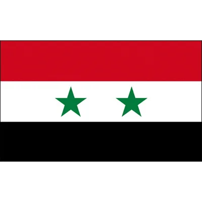 90x150 CM Syria National flag for Decoration 
90x150 CM Syria National flag for Decoration