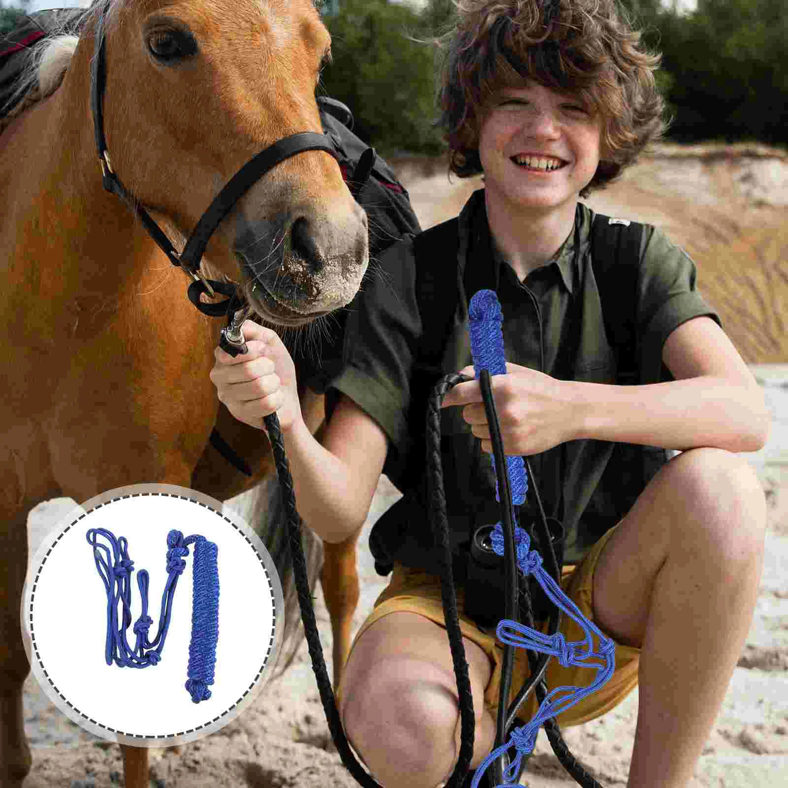 Protective Ring Portable Horse Collar Safety Halter Riding Equipment Training Polyester Accessory Supplies
Protective Ring Portable Horse Collar Safety Halter Riding Equipment Training Polyester Accessory Supplies