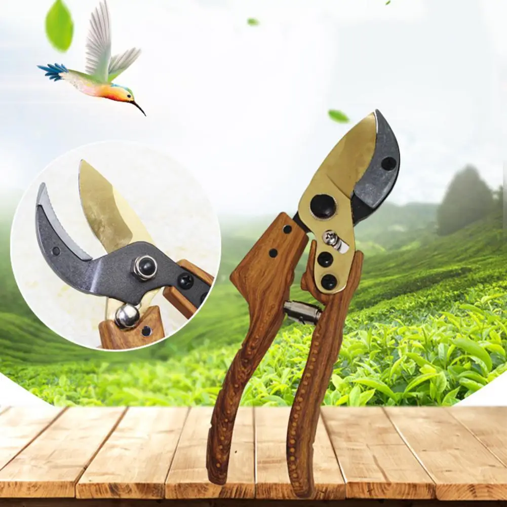 Bonsai Scissor Ergonomic Handle Sharp Blade Gardening Scissor Steel Branch Scissor Pruning Shear Garden Cutting Tools for Yard
Bonsai Scissor Ergonomic Handle Sharp Blade Gardening Scissor Steel Branch Scissor Pruning Shear Garden Cutting Tools for Yard