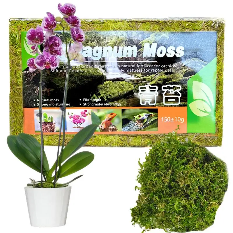 150g Natural Plant Sphagnum Moss Nutrition Organic Fertilizer For Plant Growth Moss Crafts Floral Mini Landscapes Reptiles
150g Natural Plant Sphagnum Moss Nutrition Organic Fertilizer For Plant Growth Moss Crafts Floral Mini Landscapes Reptiles
