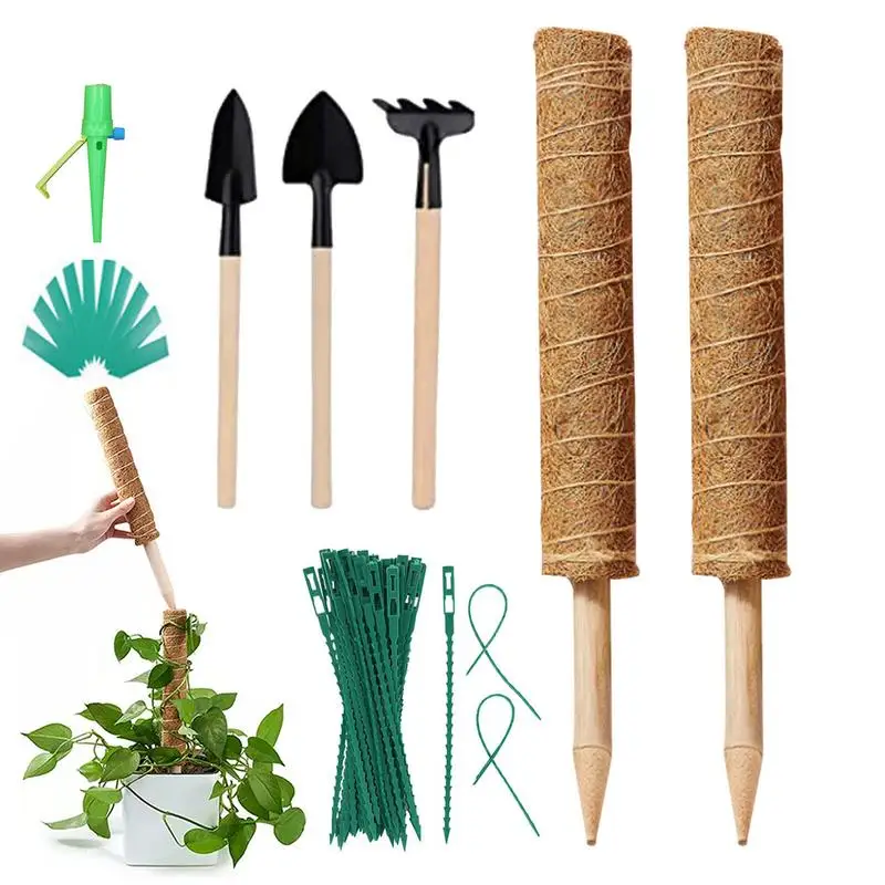 

Coir Moss Totem Pole Coir Moss Stick для удлинения, Поддержка растений, удлинение, альпинизм, комнатные садовые растения
