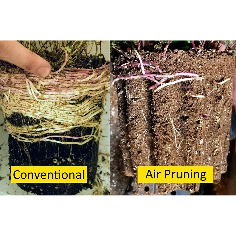 Anti-corrosion Plant Root Control Trainer Fast Root Grow Container Transplant Tool Nursery Pot Garden Accessories
Anti-corrosion Plant Root Control Trainer Fast Root Grow Container Transplant Tool Nursery Pot Garden Accessories