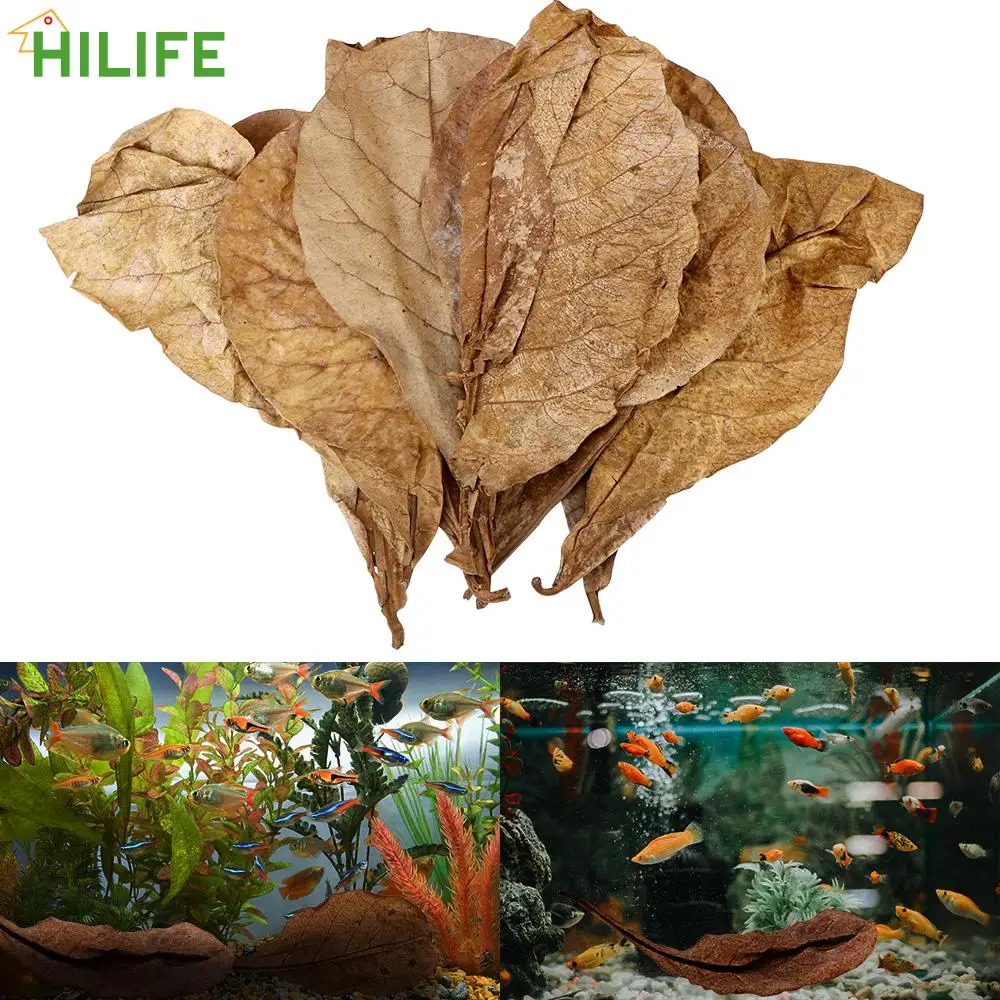 20 шт., очищающие аквариумные листья для аквариума
20 шт., очищающие аквариумные листья для аквариума
