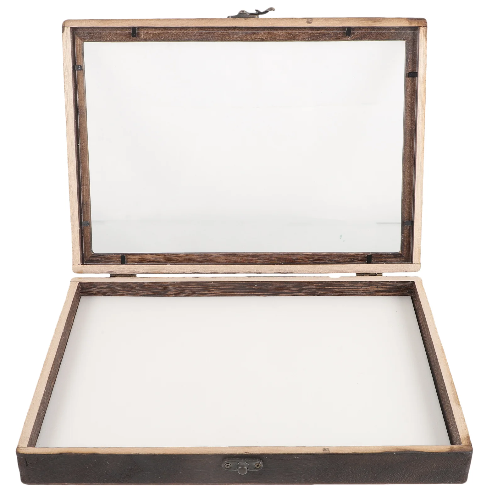 1 Set of Insect Display Box Wall Mount Bug Display Case Collection Box Butterfly Specimen Box
1 Set of Insect Display Box Wall Mount Bug Display Case Collection Box Butterfly Specimen Box