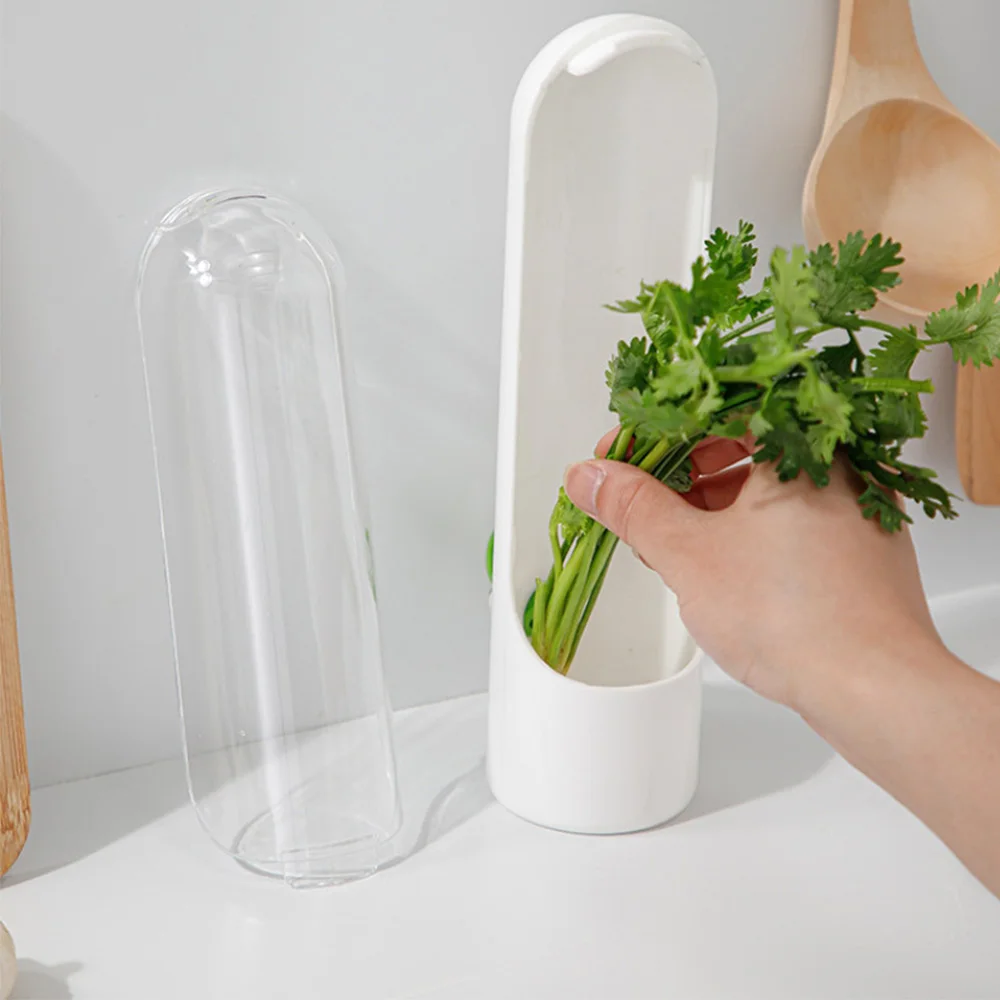 1PC Vanilla Preservation Box Herb Saver for Refrigerator VegetableFruit Storage Device for Kitchen Bamboo Shoot Preserver Device
1PC Vanilla Preservation Box Herb Saver for Refrigerator VegetableFruit Storage Device for Kitchen Bamboo Shoot Preserver Device