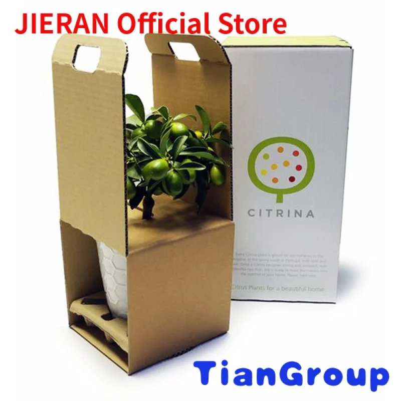 Eco friendly Durable Corrugated potted packaging boxes plant shipping box live plant shipping box for plant
Eco friendly Durable Corrugated potted packaging boxes plant shipping box live plant shipping box for plant
