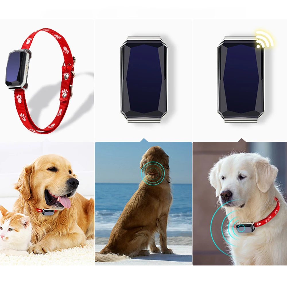 GPS Smart Waterproof Pet Locator Sim Card Bluetooth Anti-lost Collar Dog Cat Find Device Tracking Locator
GPS Smart Waterproof Pet Locator Sim Card Bluetooth Anti-lost Collar Dog Cat Find Device Tracking Locator
