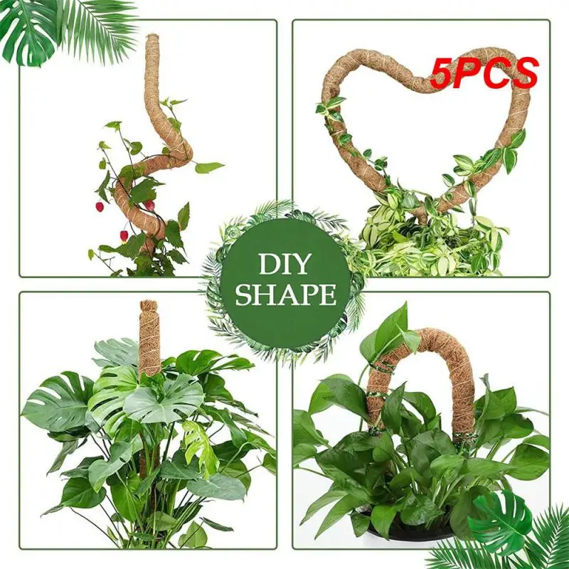 5 шт., прозрачный шелковый слой из натурального волокна
5 шт., прозрачный шелковый слой из натурального волокна