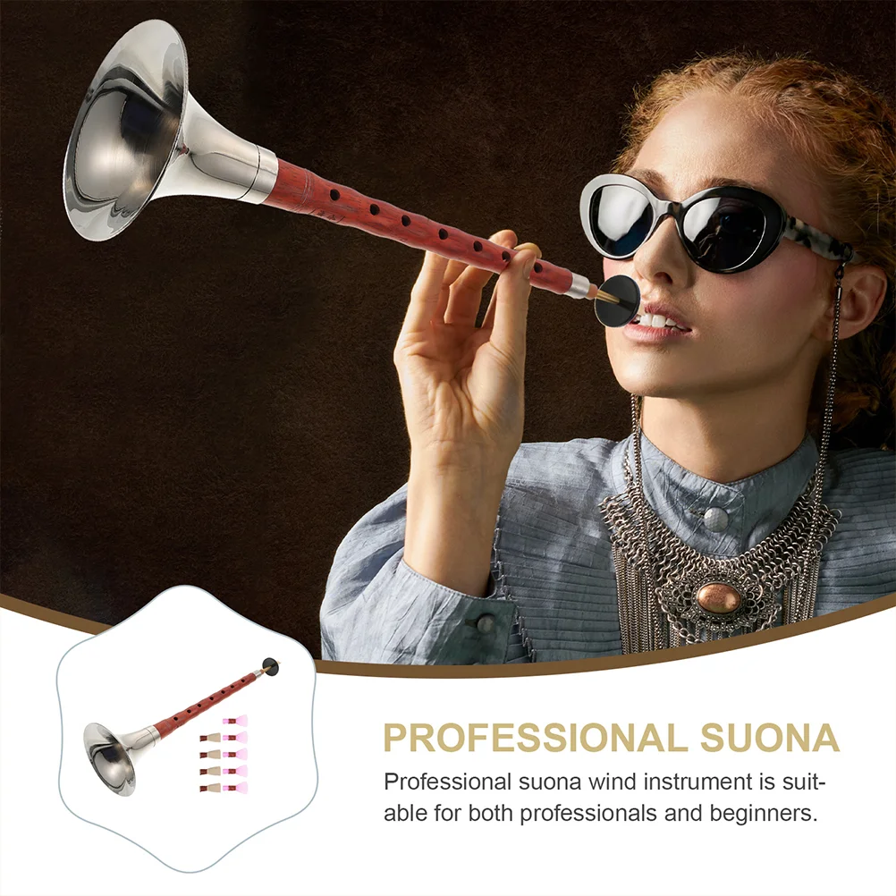 

1 Set Professional Rosewood Wind Instrument for Practice A-key Suona Instrument