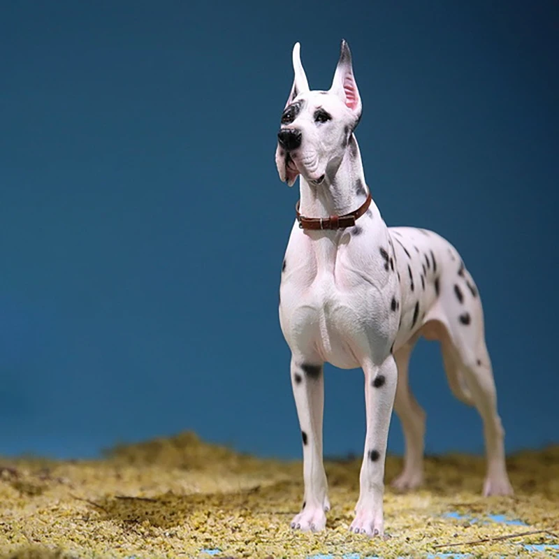 1/6 Scale German Great Dane Simulated Animal Model Hand Made Desktop Decoration Doll Accessories Collection Display Toy
1/6 Scale German Great Dane Simulated Animal Model Hand Made Desktop Decoration Doll Accessories Collection Display Toy