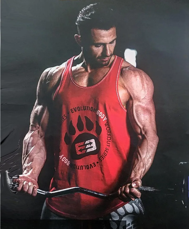 Cotton Workout Gym Vest Men's Muscle Sleeveless Activewear Shirt Stringer Fashion Clothing Bodybuilding Vest Fitness Vest
Cotton Workout Gym Vest Men's Muscle Sleeveless Activewear Shirt Stringer Fashion Clothing Bodybuilding Vest Fitness Vest