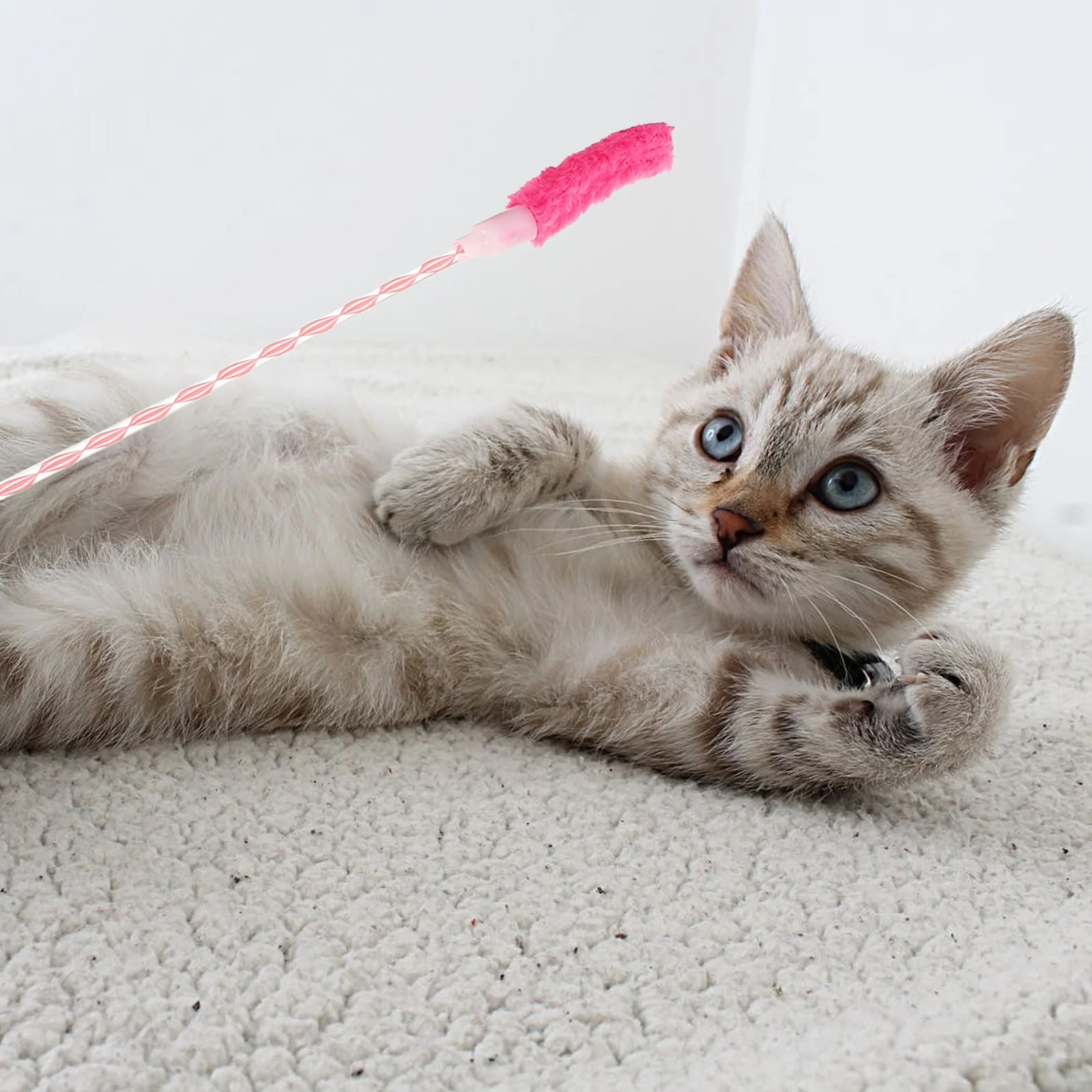 Cat Interactive Toy Toys Wand Kitten Teaser Sticks Dog Pole Worm Replacement Pet Training Rod Funny Exercise 
Cat Interactive Toy Toys Wand Kitten Teaser Sticks Dog Pole Worm Replacement Pet Training Rod Funny Exercise