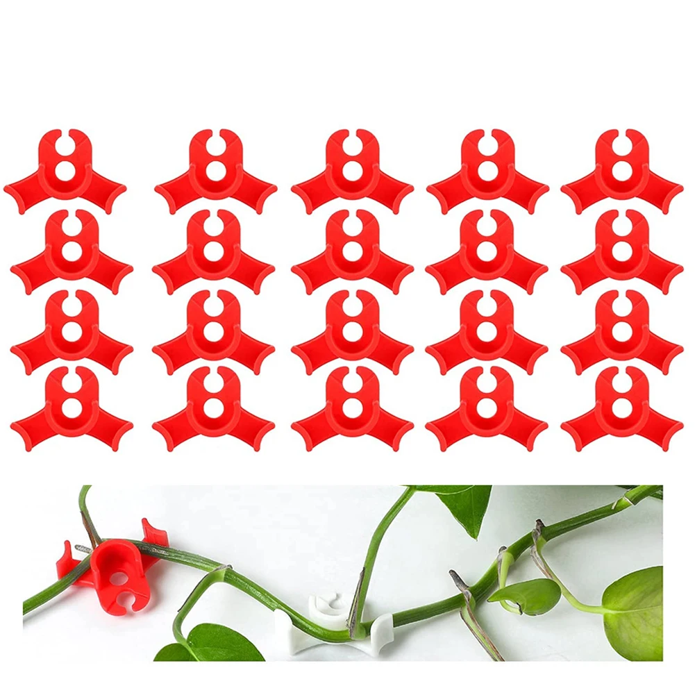 20pcs 90 Degree Plant Bender Trainer Plastic Twig Clamps For Plant Branches Bending Training Growth Clips Garden Accessories Red
20pcs 90 Degree Plant Bender Trainer Plastic Twig Clamps For Plant Branches Bending Training Growth Clips Garden Accessories Red