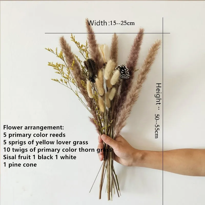 Pampas Grass Nordic Style Reed Pine Nuts Fruit Dried Bouquet Literary Fresh Props Soft Decoration Indoor Diy Flower Arrangement
Pampas Grass Nordic Style Reed Pine Nuts Fruit Dried Bouquet Literary Fresh Props Soft Decoration Indoor Diy Flower Arrangement