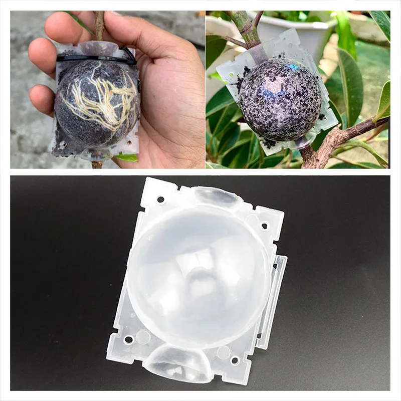 5 см садовый фруктовый шар для корневых растений, коробки для выращивания корней, прививочный роутер, коробка для выращивания растений, прис...
5 см садовый фруктовый шар для корневых растений, коробки для выращивания корней, прививочный роутер, коробка для выращивания растений, прис...