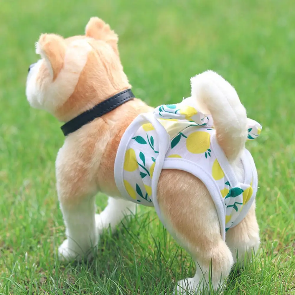Pet Physiological Pants Comfortable Pet Menstrual Pants Reusable Leak-proof Dog Diaper for Physiological Comfort High Absorbency
Pet Physiological Pants Comfortable Pet Menstrual Pants Reusable Leak-proof Dog Diaper for Physiological Comfort High Absorbency