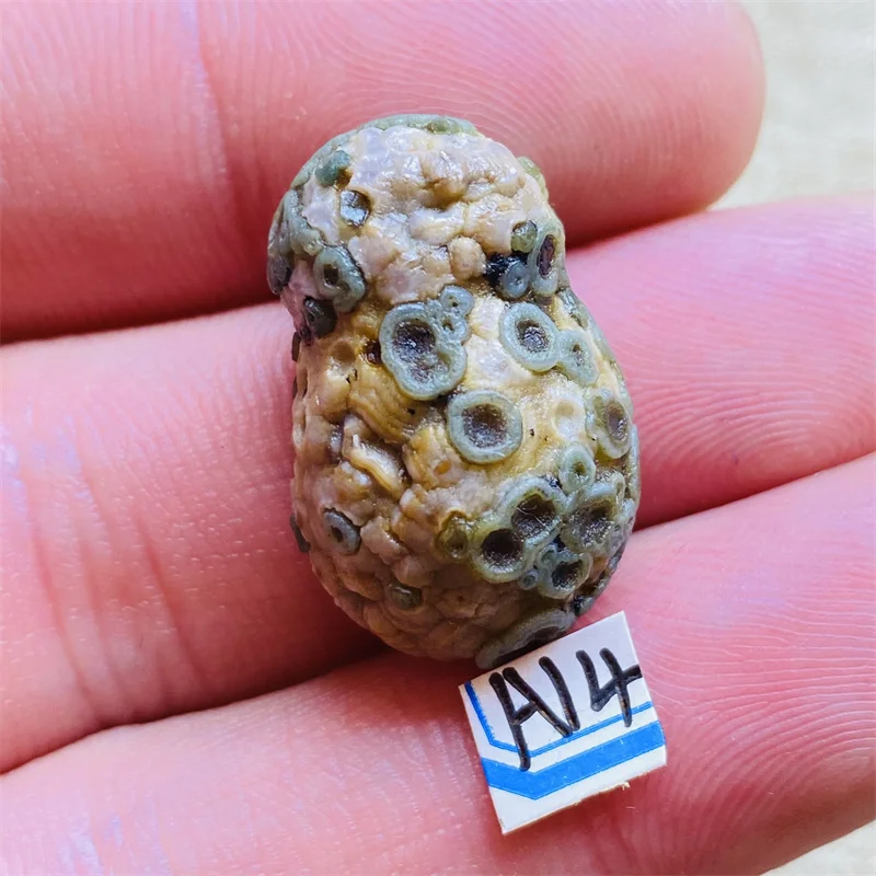 Gosses Bluff Agate Of Ore The Chakras Energy Stone Natural Crystal Heal Decoration 
Gosses Bluff Agate Of Ore The Chakras Energy Stone Natural Crystal Heal Decoration