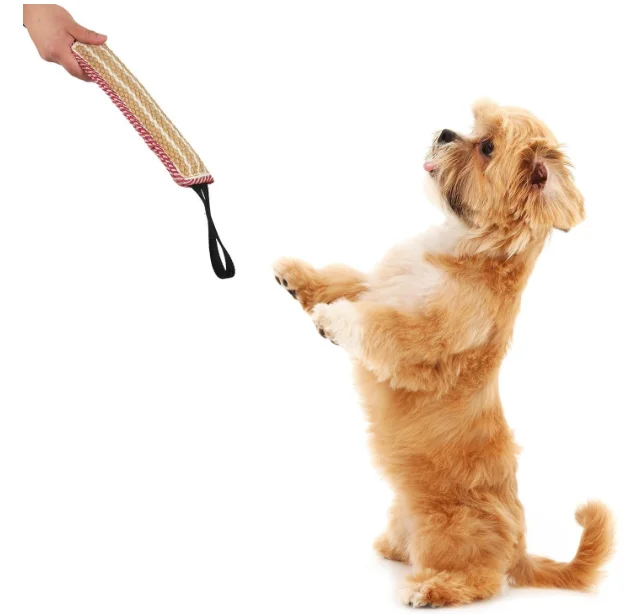 Новинка, распродажа, интерактивные игрушки для обучения собак на открытом воздухе
Новинка, распродажа, интерактивные игрушки для обучения собак на открытом воздухе