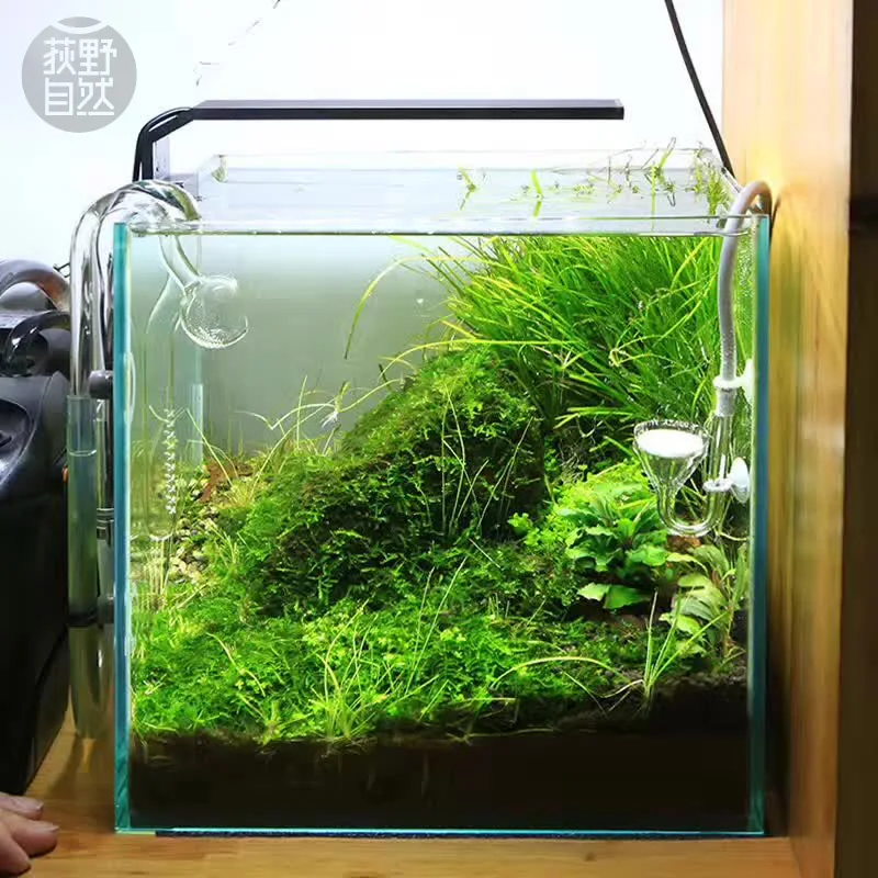 Chihiros C series ADA style Plant grow LED light mini nano clip aquarium water plant fish tank new arrived!
Chihiros C series ADA style Plant grow LED light mini nano clip aquarium water plant fish tank new arrived!