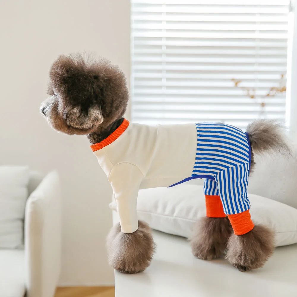 

South Korea's hot spring and summer naughty color matching series pet jumpsuit dog four-legged suit VIP Bixiong