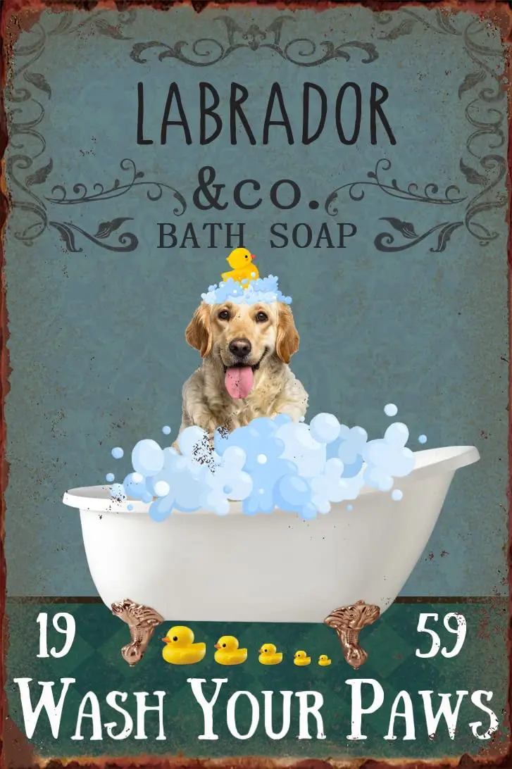Bathroom Metal Tin Sign Tin Sign Labrador Wash Your Paws Wall Decoration Bar Pub Family Cafe Signs Men Cave for Friends Family F
Bathroom Metal Tin Sign Tin Sign Labrador Wash Your Paws Wall Decoration Bar Pub Family Cafe Signs Men Cave for Friends Family F