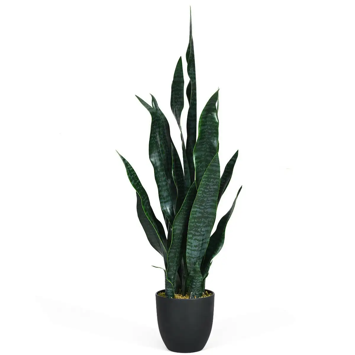 Искусственное растение, искусственное зеленое украшение Sansevieria 35,5 дюйма для помещений и улицы
Искусственное растение, искусственное зеленое украшение Sansevieria 35,5 дюйма для помещений и улицы