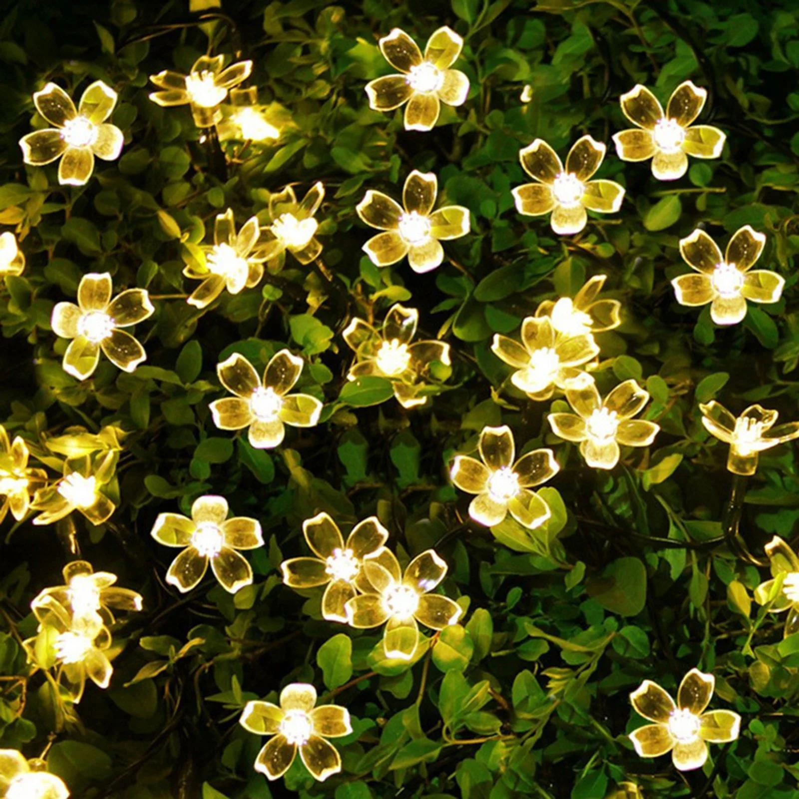 Outdoor Solar Garland Fairy Lights Festoon String Cherry Blossom 7M 50LED Lamp For Christmas Party Garden Wedding Decoration
Outdoor Solar Garland Fairy Lights Festoon String Cherry Blossom 7M 50LED Lamp For Christmas Party Garden Wedding Decoration