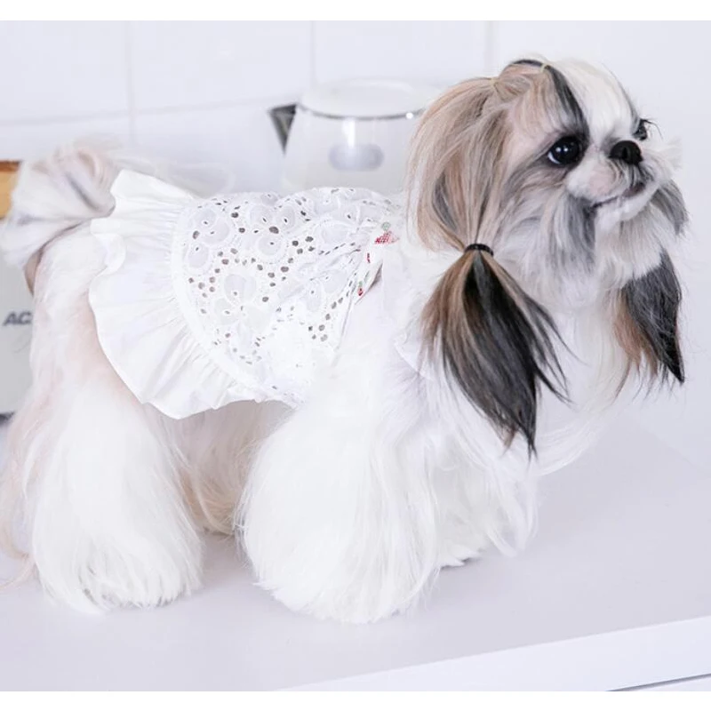 Summer Dog Costume Skirt Puppy Apparel Chihuahua Yorkies Yorkshire Terrier Pomeranian Clothes Poodle Bichon Schnauzer Clothing
Summer Dog Costume Skirt Puppy Apparel Chihuahua Yorkies Yorkshire Terrier Pomeranian Clothes Poodle Bichon Schnauzer Clothing