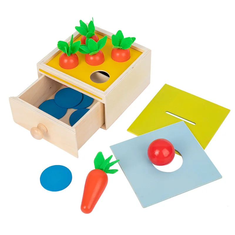

Материал Монтессори, постоянная коробка, игрушки для детей, сенсорная тренировка, Детская сортировочная игра, деревянные обучающие игрушки...