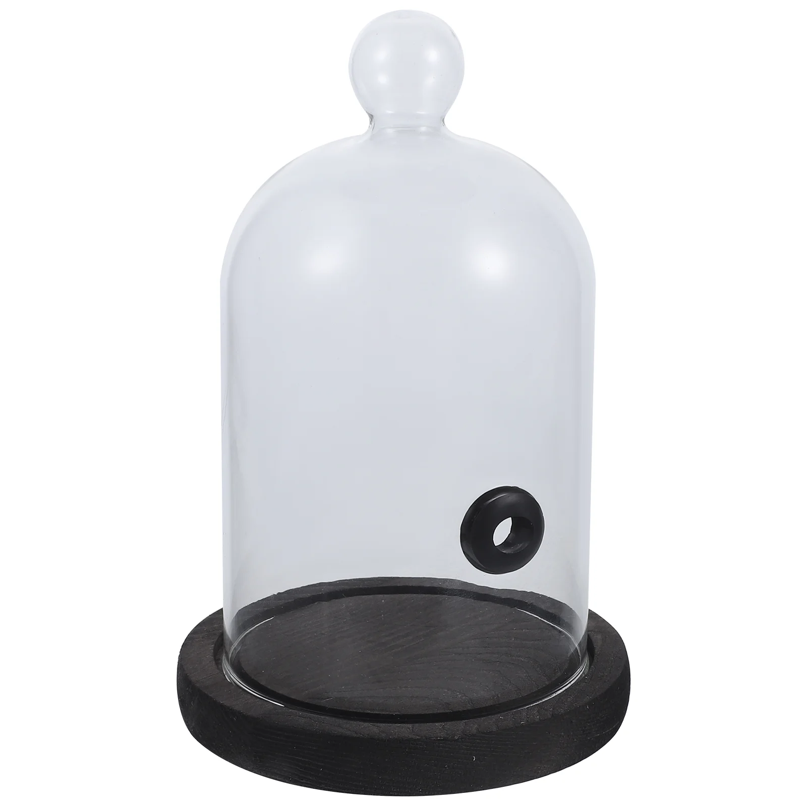 Glass Hood Western Cuisine Cover Practical Mesh Tent Outdoors Injector Dessert Food Lid Clear Acrylic Cake Stand
Glass Hood Western Cuisine Cover Practical Mesh Tent Outdoors Injector Dessert Food Lid Clear Acrylic Cake Stand