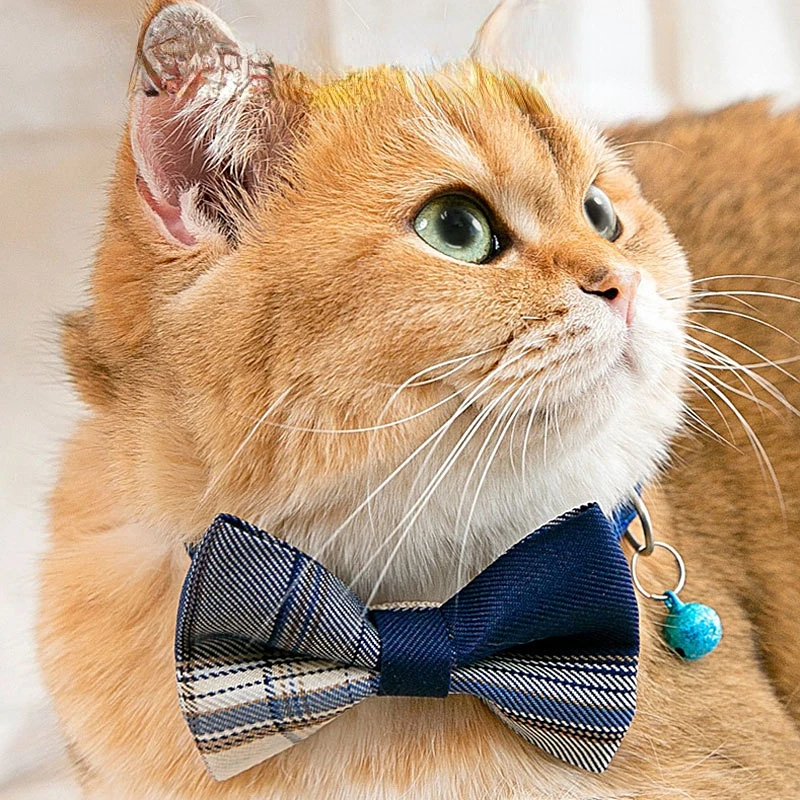 JK Bow Tie Bell Collar for Cat Small Medium Boy Dog Adjustable Decorative Plaid Collar Pet Dog Supplies
JK Bow Tie Bell Collar for Cat Small Medium Boy Dog Adjustable Decorative Plaid Collar Pet Dog Supplies