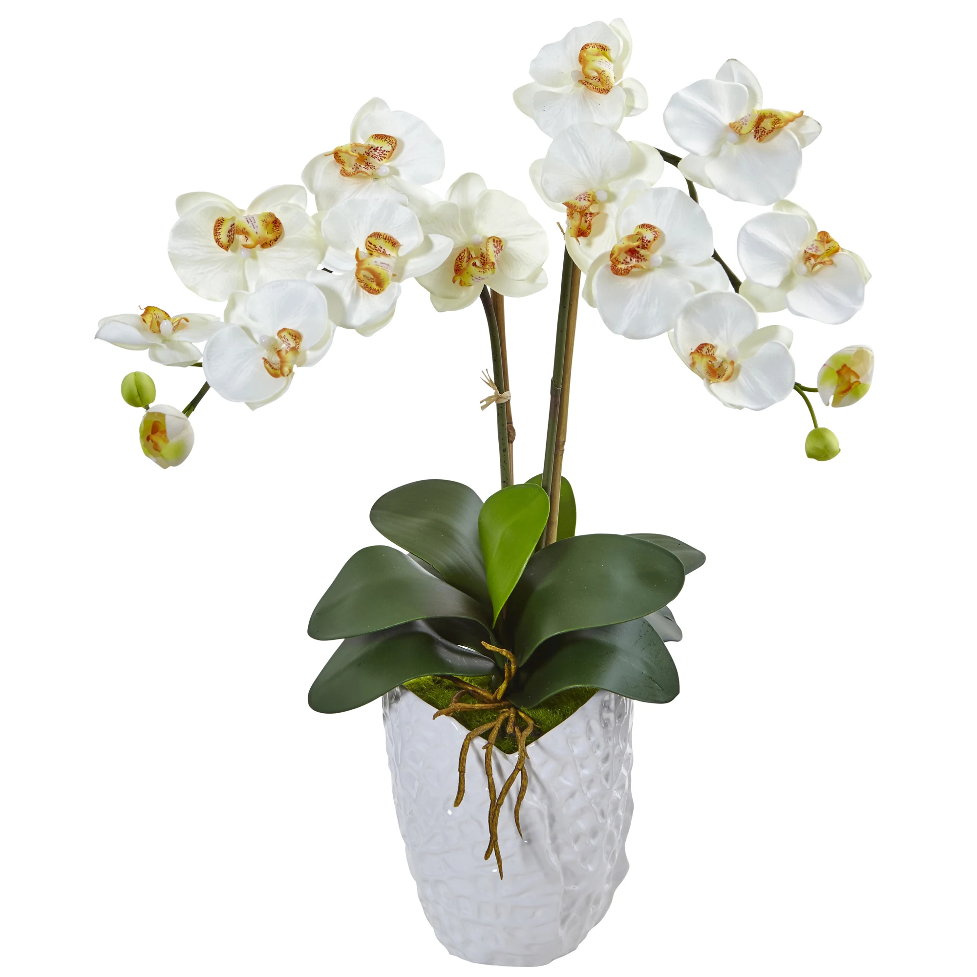 Бесплатная доставка, шелковая композиция с орхидеей Double Phalaenopsis в белой вазе
Бесплатная доставка, шелковая композиция с орхидеей Double Phalaenopsis в белой вазе