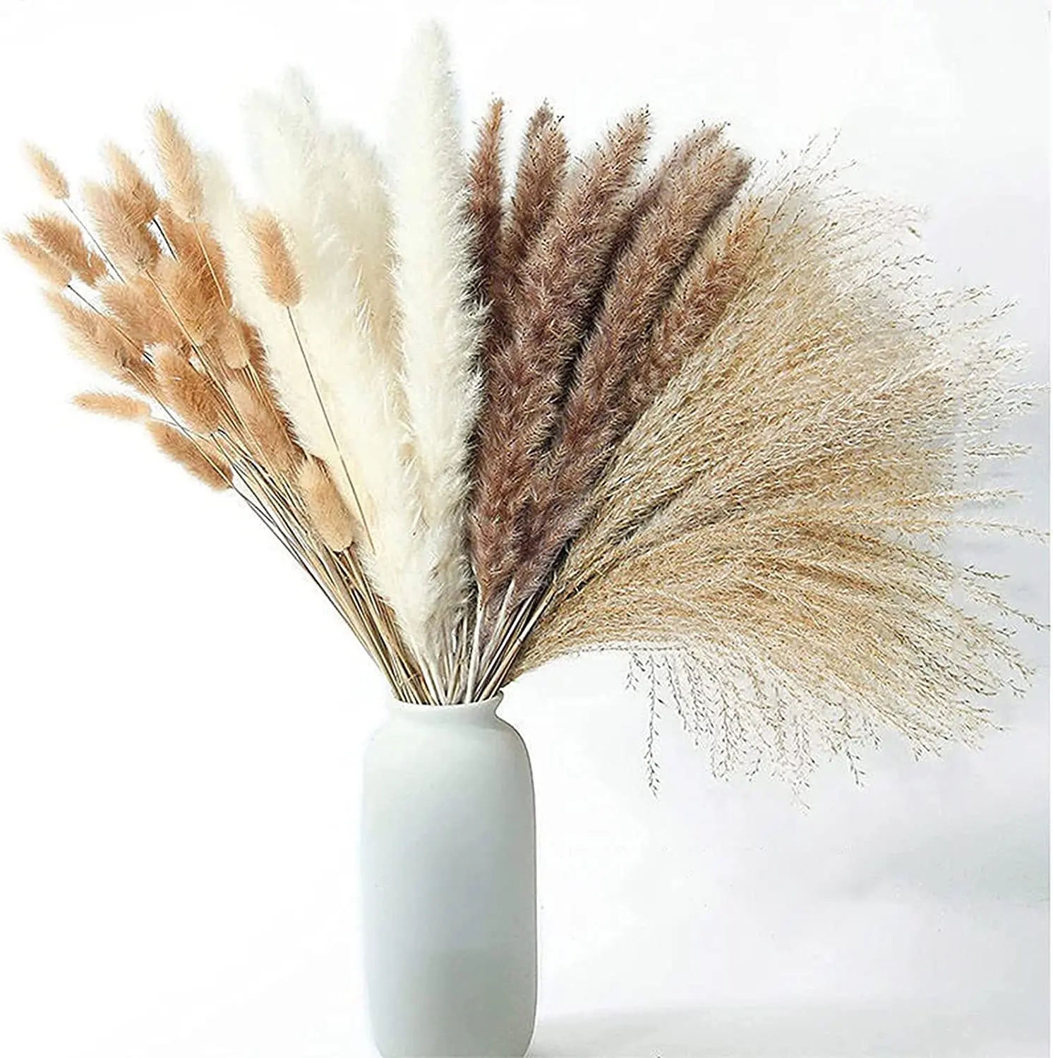 100Pcs/lot Cream Pampas Grass Fluffy Room Phragmites Decoration Natural Bunny Tail Grass Dried Flowers Bouquet Boho Home Decor
100Pcs/lot Cream Pampas Grass Fluffy Room Phragmites Decoration Natural Bunny Tail Grass Dried Flowers Bouquet Boho Home Decor