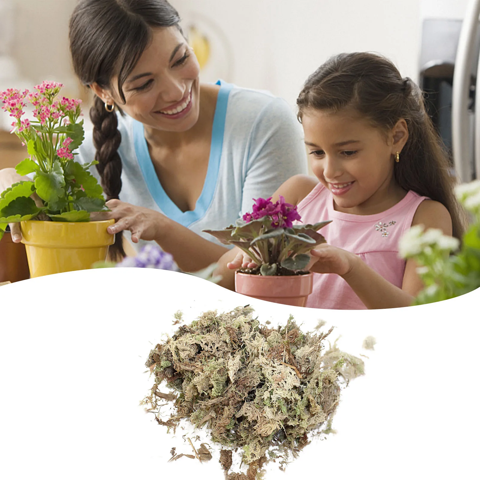 Садовый увлажняющий питательный органический удобрение Sphagnum Doy Moss 6 л/12 л для орхидеи, фаленопсис, мусго, сфагнум
Садовый увлажняющий питательный органический удобрение Sphagnum Doy Moss 6 л/12 л для орхидеи, фаленопсис, мусго, сфагнум