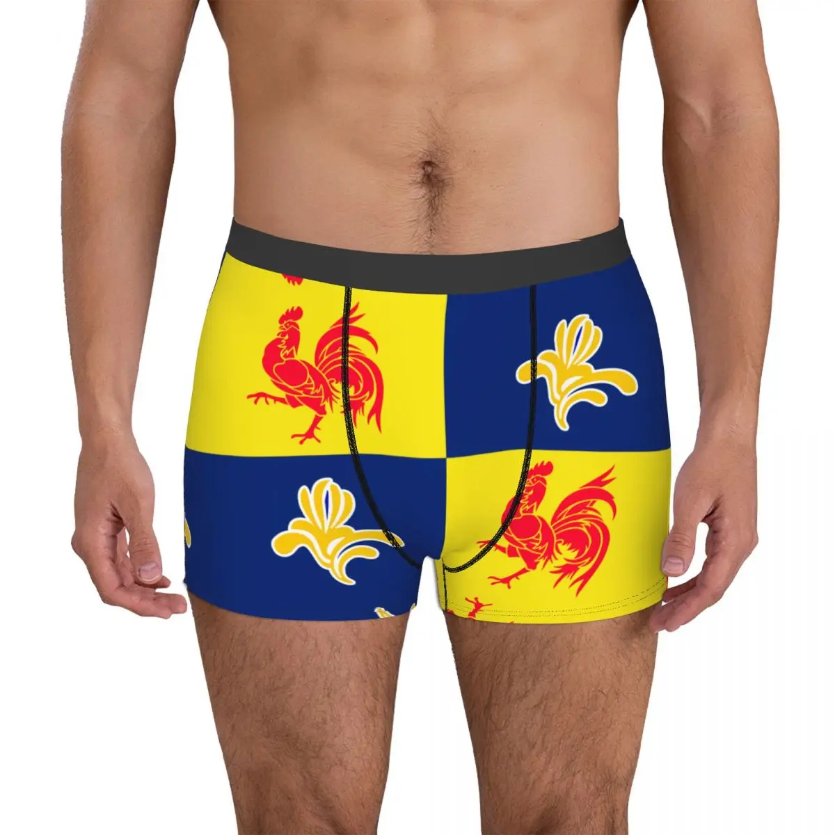 

Sexy Men's Boxer Briefs Flag Of The French Community Commission Undergarment Belgian Four Seasons Wearable Novelty Humor Graphic