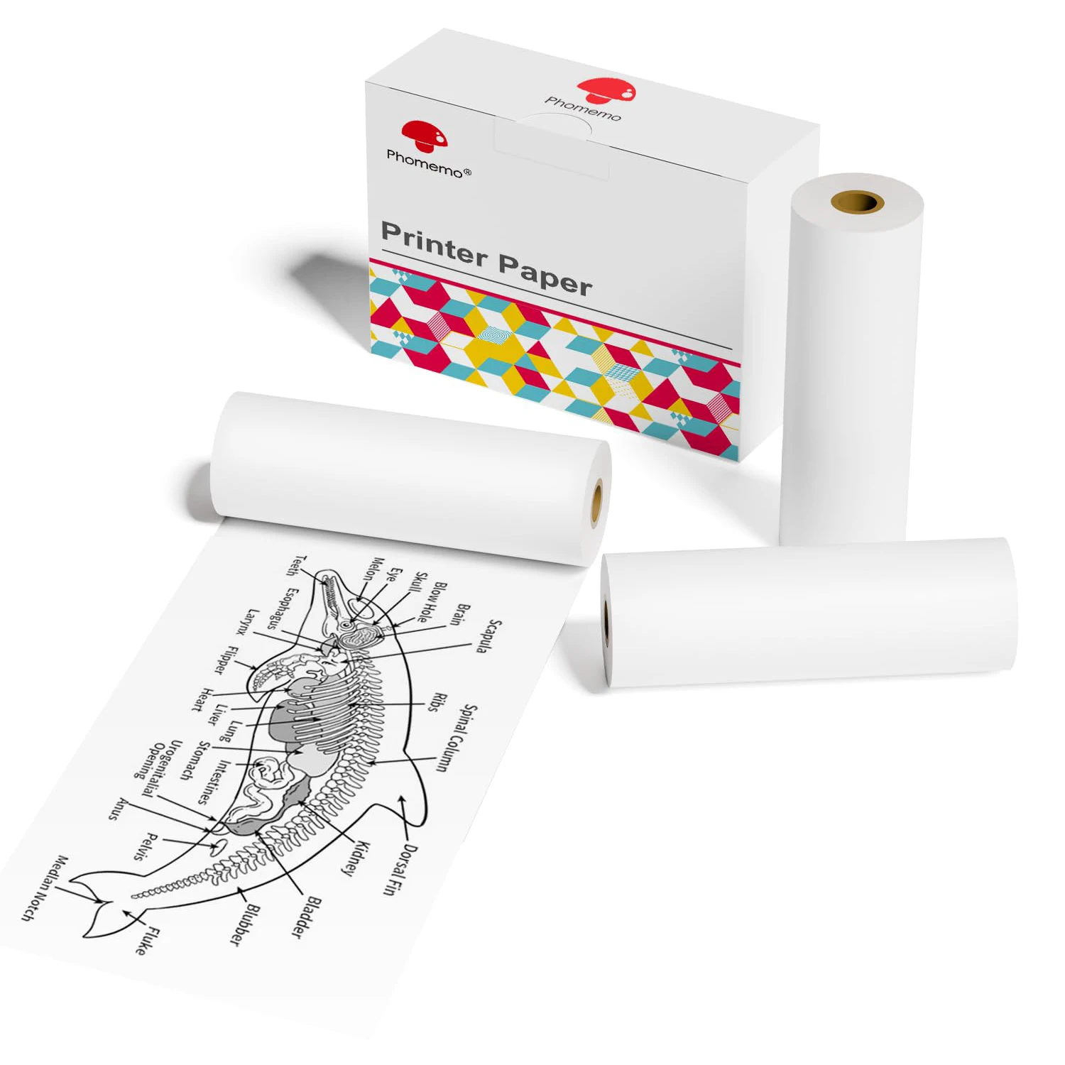 Термобумага Phomemo для принтеров M03/M03AS/M04S/M04AS, цветная, 3 рулона
Термобумага Phomemo для принтеров M03/M03AS/M04S/M04AS, цветная, 3 рулона