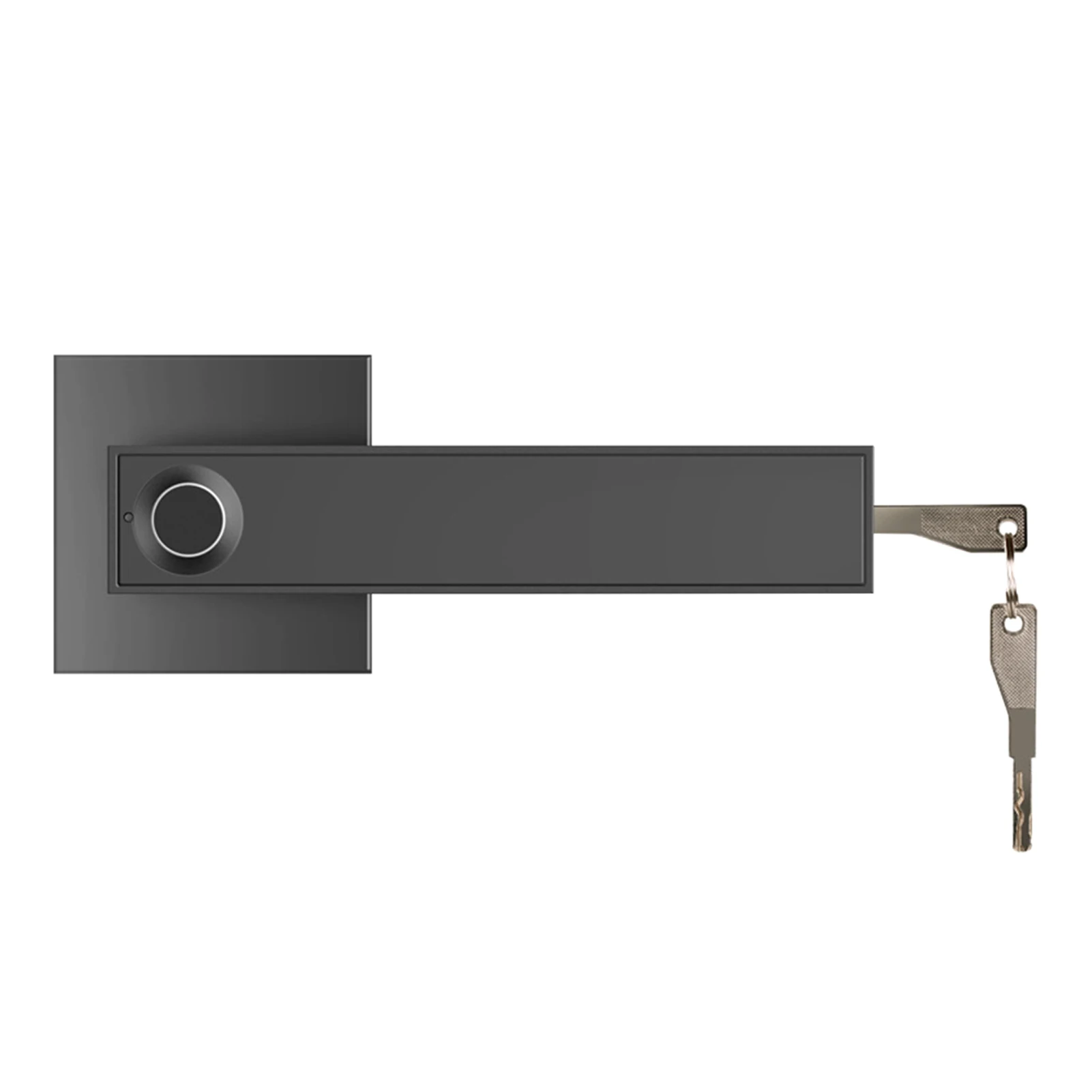 Battery Powered Smart Indoor Bedroom Safety Zinc Alloy Electric Door Lock With Keys Handle Home Office Biometric Fingerprint
Battery Powered Smart Indoor Bedroom Safety Zinc Alloy Electric Door Lock With Keys Handle Home Office Biometric Fingerprint