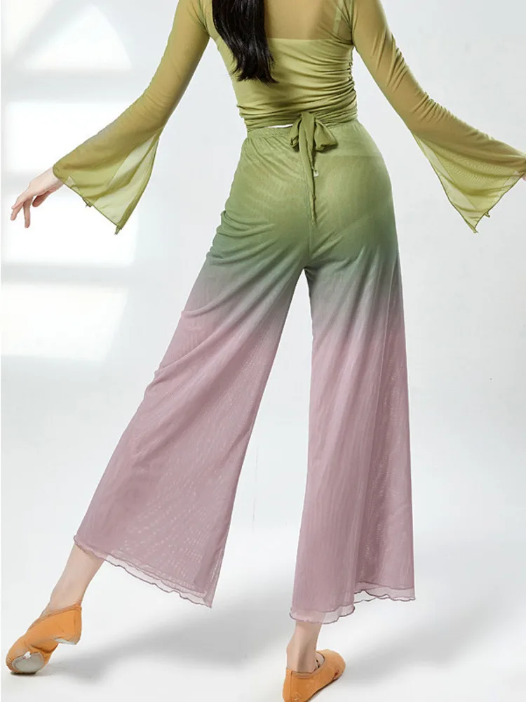 Mesh Gradient High Waist Modern Dance Pants Women Fairy Costumes Chinese Practice Classic Clothes Ballet Wide leg trousers
Mesh Gradient High Waist Modern Dance Pants Women Fairy Costumes Chinese Practice Classic Clothes Ballet Wide leg trousers