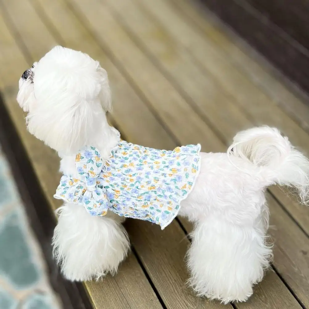 Pet Shirt Beautiful Bright-colored Breathable Clear Printing Pet Clothes Pet Supplies Pet Clothes Pet Clothes
Pet Shirt Beautiful Bright-colored Breathable Clear Printing Pet Clothes Pet Supplies Pet Clothes Pet Clothes